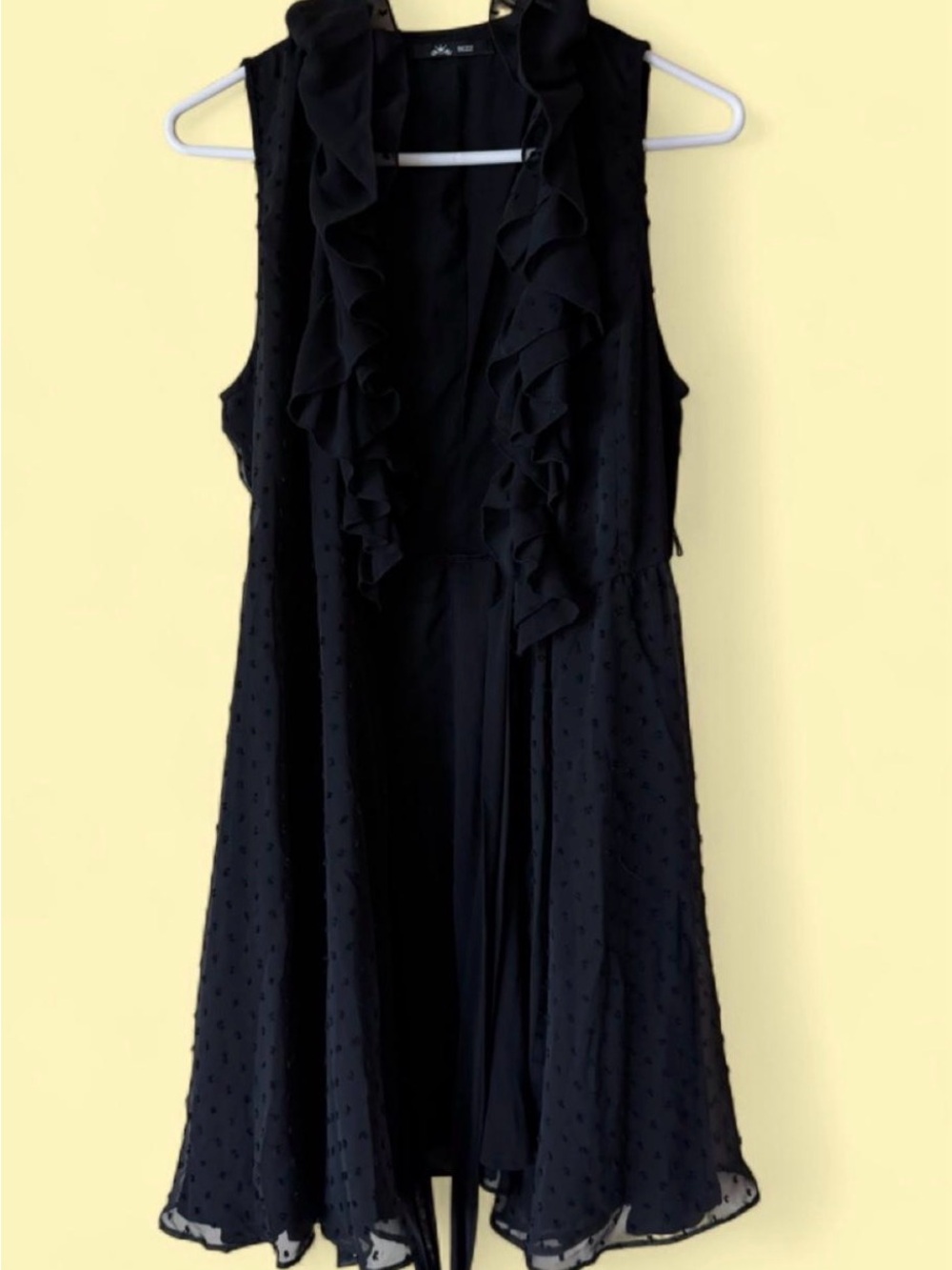 Bizz Sleeveless Black Ruffle Front Dress